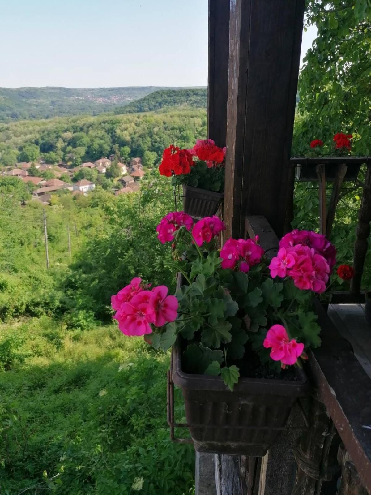 דירות Country House Pivnica Milic Rogljevo מראה חיצוני תמונה